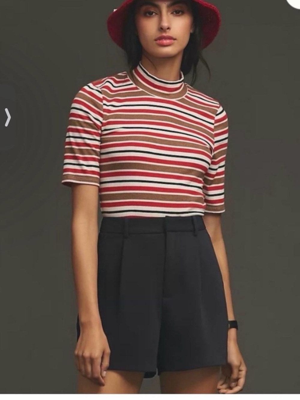 Anthropologie Striped Mock Neck Crop Top in Red, Cream & Tan